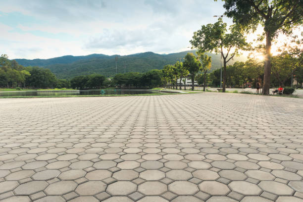 Best Brick Driveway Pavers  in Gasport, NY