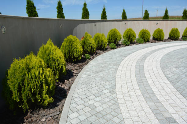 Best Concrete Paver Driveway  in Gasport, NY